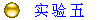 ʵ  